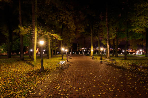 istock Night park in autumn with fallen yellow leaves. 866596096