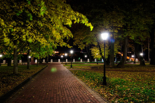 istock Night park in autumn with fallen yellow leaves. 866596118