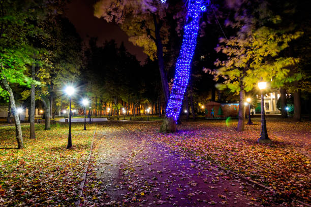 istock Night park in autumn with fallen yellow leaves. 866596286
