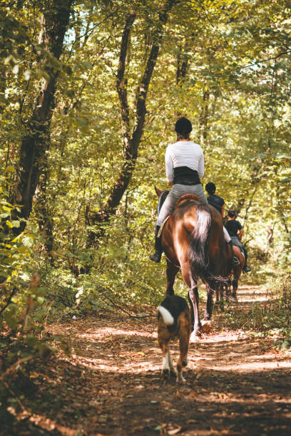 istock Riding horses in nature 866600330