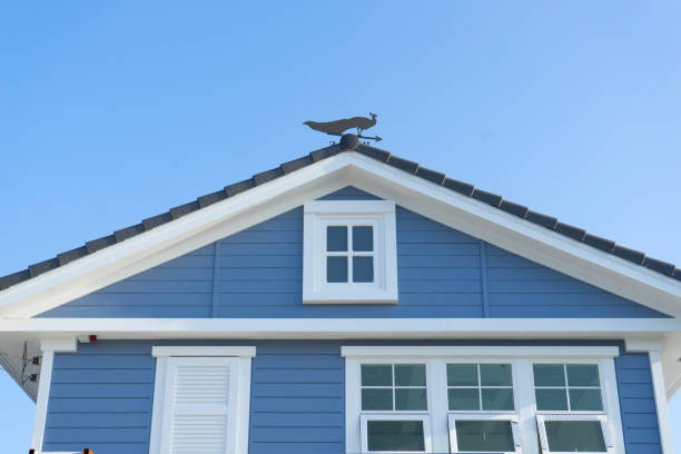 istock Gable Roof with Rooster Weather Vane 866600924