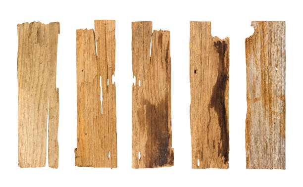 istock wooden planks isolated 0n white background 866601206