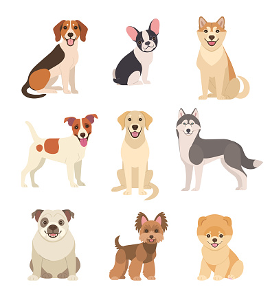 Vector illustration of funny cartoon different breeds dogs in trendy flat style. Isolated on white.