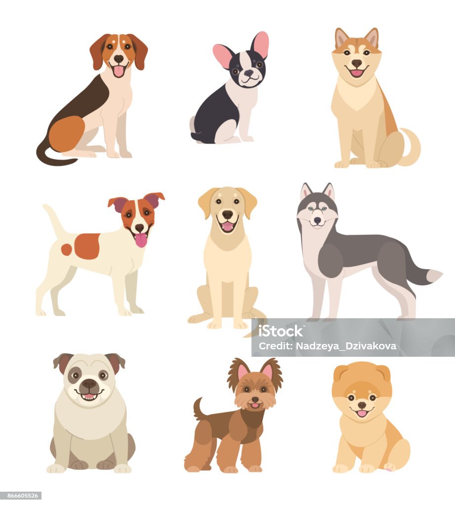 Dogs collection. Vector illustration of funny cartoon different breeds dogs in trendy flat style. Isolated on white. Dog stock vector