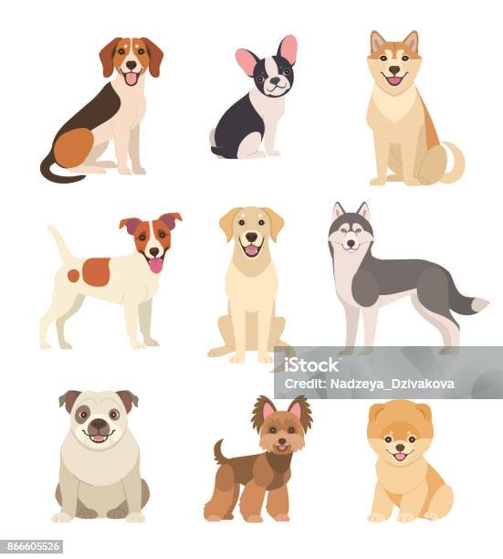 Dogs Collection Stock Illustration - Download Image Now - Dog, Illustration, Vector