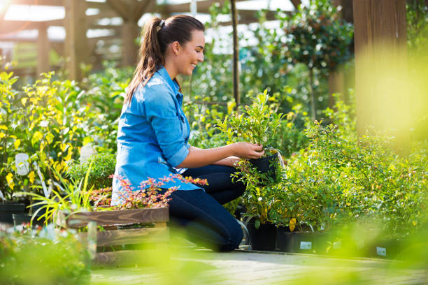 istock Woman working in garden center 866608406