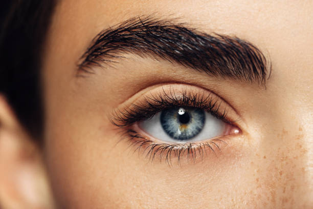 Close Photo Blue Eyes Golden Brown Stock Photo 1195414411
