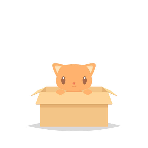 ilustrações de stock, clip art, desenhos animados e ícones de cartoon cat in a box adoption vector illustration - cat box