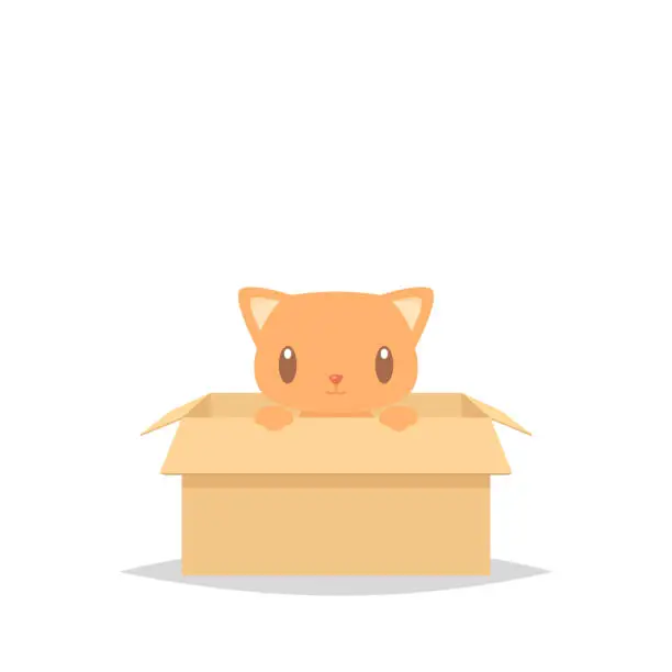 Vector illustration of Cartoon cat in a box adoption vector illustration