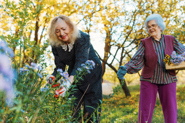 istock Senior women doing some gardening together 866617022