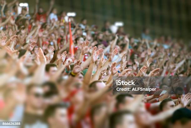 Crowd Clapping On The Podium Of The Stadium Stock Photo - Download Image Now - Soccer, Fan - Enthusiast, Stadium