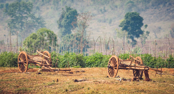 scena rurale del myanmar - ox cart foto e immagini stock