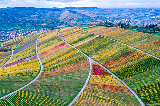aerial view of colorful vineyard near Schnait in valley Remstal in Germany in autumn