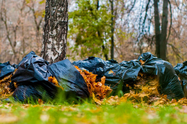 istock Black plastic bags with collected fallen leaves 866630204