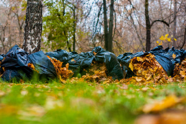 istock Black plastic bags with collected fallen leaves 866630286