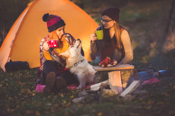 istock It's Autumn, Perfect Time For Camping 866636336