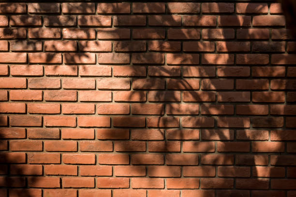 istock Red brick wall texture background with the shadow of the tree shining down. 866648060