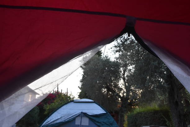 istock A view of a tent from a tent 866656616