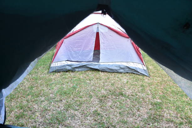 istock A view of a tent from a tent 866656932