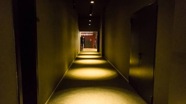 istock Empty dark corridor in apartment building in perspective view with copy space. 866658148