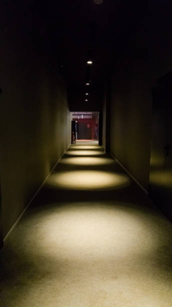 istock Empty dark corridor in apartment building in perspective view with copy space. 866658160