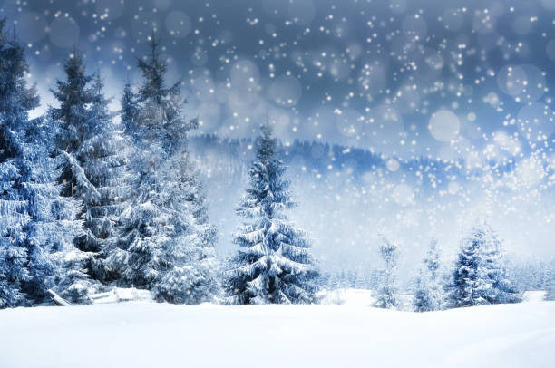 istock Christmas background with snowy fir trees 866688420