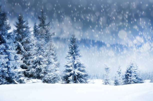 istock Christmas background with snowy fir trees 866688422