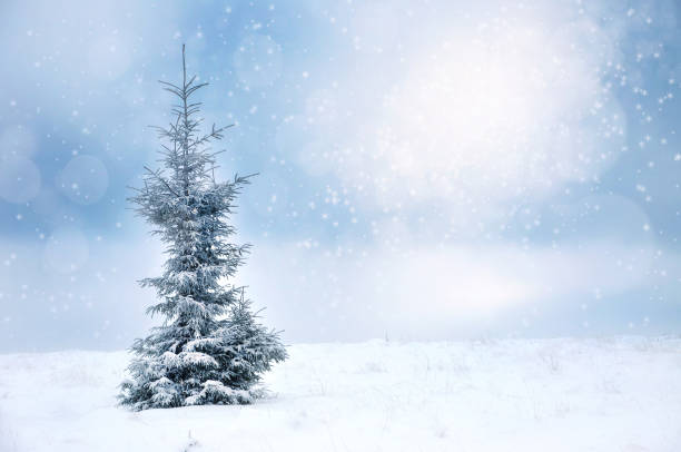 istock Winter Christmas landscape with spruce and snowflakes 866688424