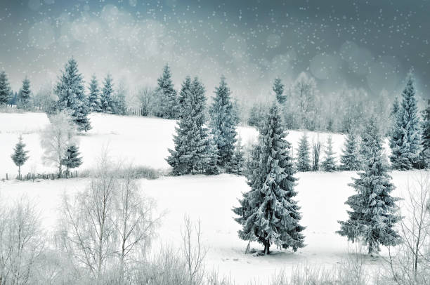 istock Christmas background with snowy fir trees 866688496