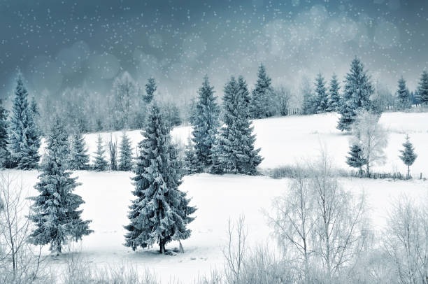 istock Christmas background with snowy fir trees 866688974