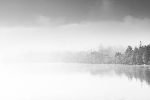 istock Abstract contemporary art, fog over lake 866699512