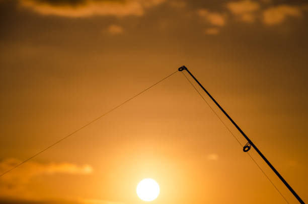 Fishermen catch fish on the lake at sunset