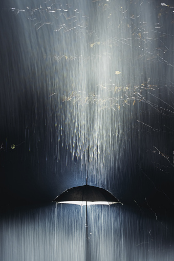Rain pours down onto an umbrella.