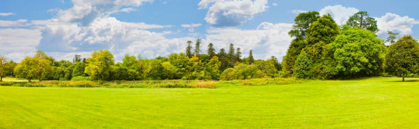 istock Irish landscape with meadow and forest in the background - panoramic view 866707072