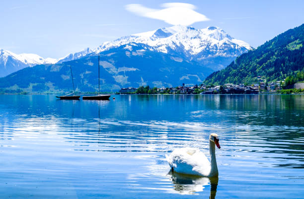 istock zeller see in austria 866710070