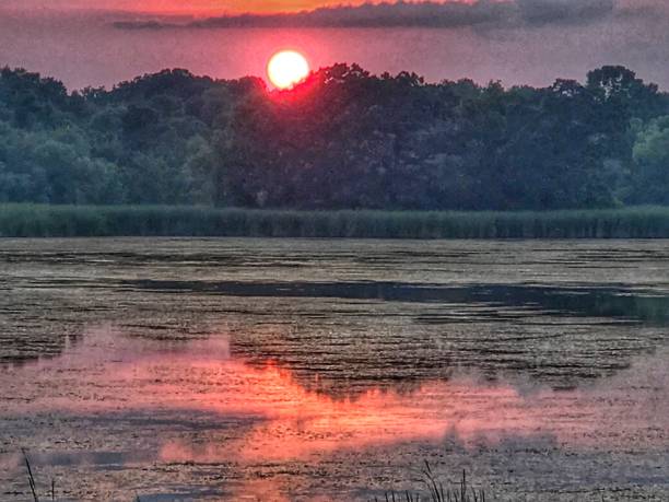 istock The beauty of nature 866718128