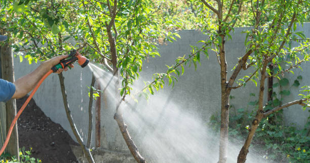 istock Man watering from a hose plants in the garden 866718686