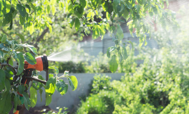 istock Watering plants from a hose in the garden 866718788