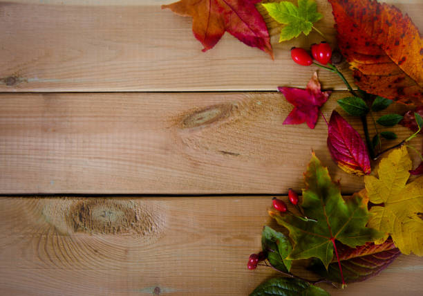 istock Autumn leaves on wooden background 866718832