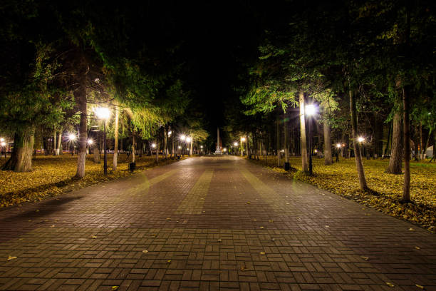 istock Night park in autumn with fallen yellow leaves. 866718858