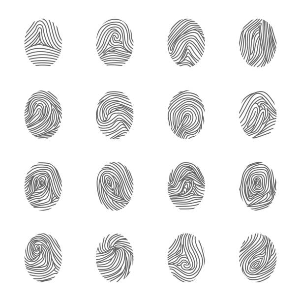 ilustrações de stock, clip art, desenhos animados e ícones de various unique fingerprints black thin line icon set. vector - track vector individuality thumbprint