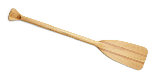 Boat Oar Wood Canoe Paddle Isolated on White Background. oar stock pictures, royalty-free photos & images