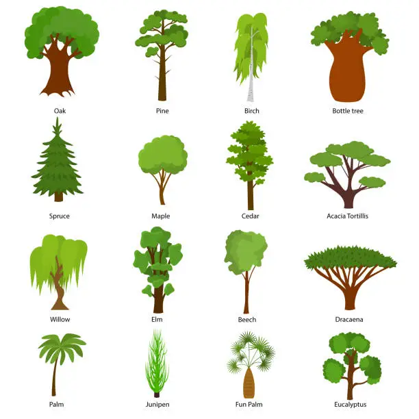 Vector illustration of Different Green Tree Types Icons Set. Vector