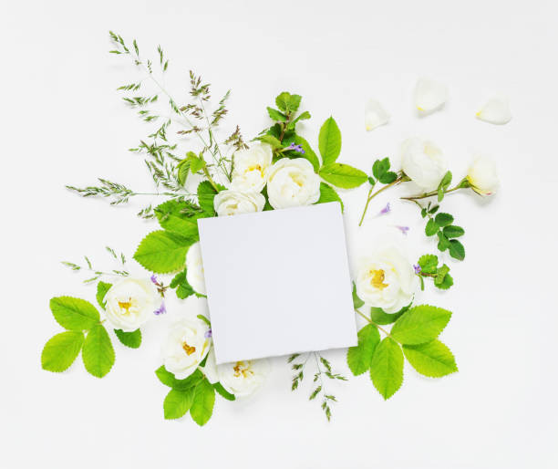 istock Composition with white paper card and wild rose 866724772