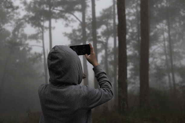 las mujeres que toman la foto de la madera del bosque ver - mobilestock outdoors horizontal rear view fotografías e imágenes de stock