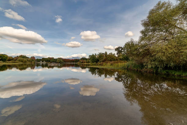 istock Trout Lake, Vancouver, Canada 866735316