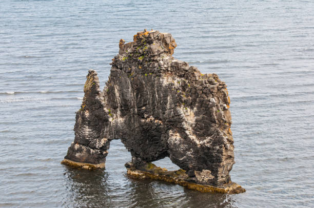 istock Hvitserkur, a monolith in North Iceland 866735318