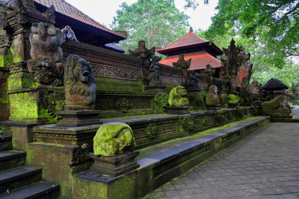 istock Sacred Monkey Forest Sanctuary in Ubud. Bali Island, Indonesia 866739220