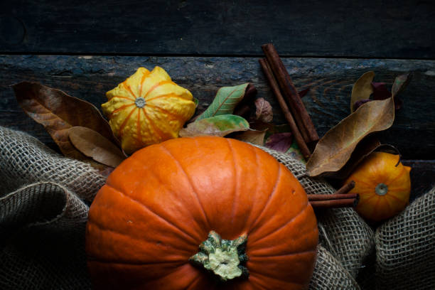 istock pumpkin and gourds on burlap 866739606