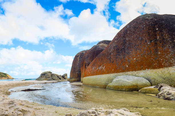 istock Explorin Wilson Promontory in Australia 866742216